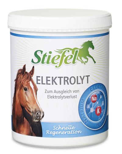 Stiefel Elektrolyt 1kg